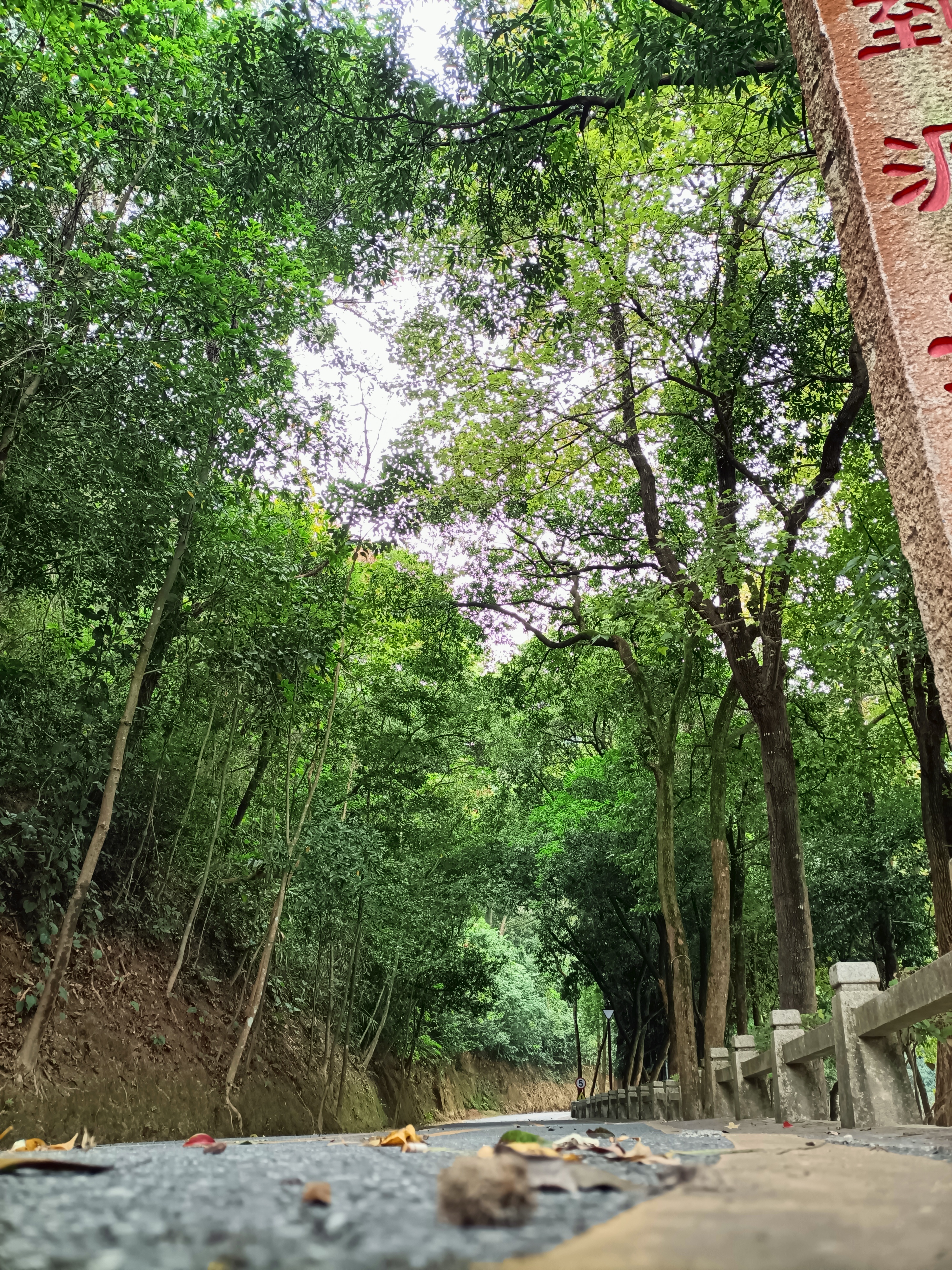 河源市新豐江水庫 [萬綠湖]